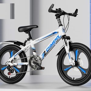 AeroDisc City MTB