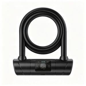 BioKey Smart Fingerprint Lock