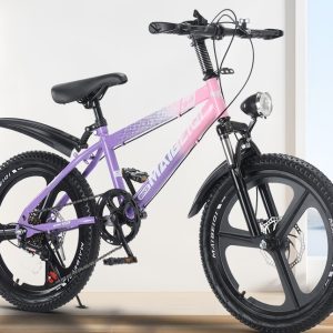 Maven Fat Tire City Bike
