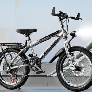 MetroHaul Utility Bike