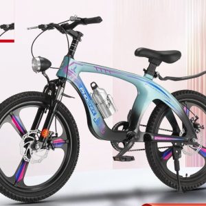 Phoenix Full-Suspension Trail Bike